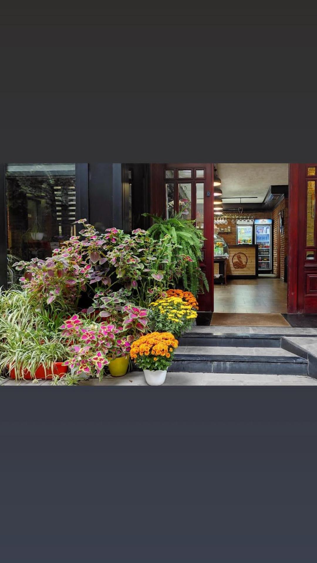 Hotel Livia Tirana Exterior foto
